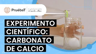 Experimento científico Carbonato de calcio [upl. by Acinorahs474]