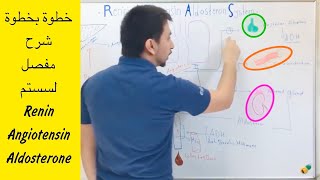 شرح مفصل خطوة بخطوة لسستم Renin Angiotensin Aldosterone [upl. by Adora179]