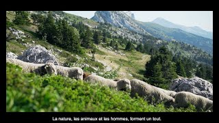 Moi le Pastoralisme 🐑🐮 [upl. by Annad]