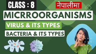 Microorganisms  Virus  Bacteria  Class  8  Explained in Nepali  New Course [upl. by Gavrielle]