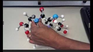 Hydrolysis demo using models [upl. by Doloritas]