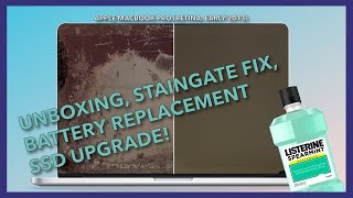 Storage Upgrade amp Staingate Fix  Apple MacBook 15quot 2013 [upl. by Loree]