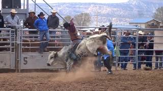 Triple Threat Bull Riding [upl. by Lecram239]