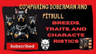 Comparing Doberman and Pitbull [upl. by Buff968]