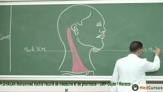 La vascularisation Lymphatique  Partie 1  Pr GHAILAN Med Rachid fac de médecine oujda [upl. by Thinia]