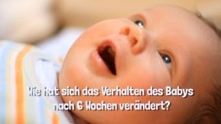 Das Verhalten des Babys in den ersten 6 Wochen [upl. by Reider]