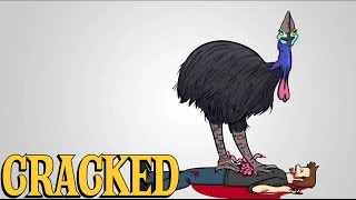 Why the Cassowary Is the Most Terrifying Animal Ever [upl. by Aiynot]