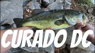 Unboxing and trying the shimano curado dc for some bass [upl. by Grunenwald]