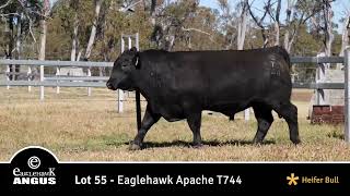 Lot 55 Eaglehawk Apache T744 [upl. by Fraser]