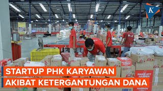 Ketergantungan Pendanaan Jadi Alasan Startup Rentan PHK Karyawan [upl. by Merow511]