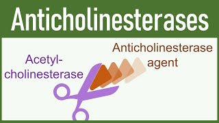 Anticholinesterase Agents Organophosphates amp Carbamates [upl. by Annayad]