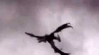 DRAGON Spotted in England flying REAL [upl. by Kristian]