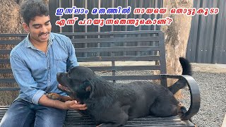 ഇസ്ലാം മതത്തിൽ നായയെ തൊട്ടുകൂടെ Are Dogs Haram in Islam [upl. by Ellehsem]