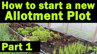 Start a new Allotment Plot  Where to start  Allotment Garden  Things you need to know  Part1 [upl. by Cony]