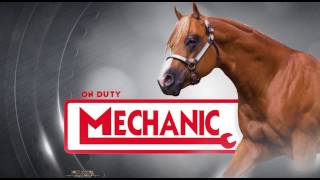 The Mechanic AQHA Stallion  World Show Promo 2016 [upl. by Bessy]