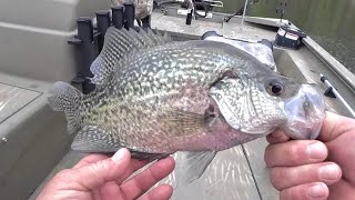 Springtime spawn  Crappie feeding in the flats [upl. by Toor]