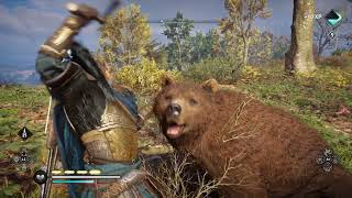 Assassins Creed® Valhalla Best Brown Bear Location [upl. by Ahsekad]