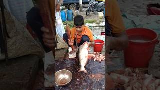 big fungus fish cutting amazingfishcutting fishcuttingskill fishcuting [upl. by Nadine]