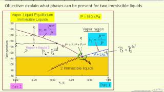 VLLE for Immiscible Liquids [upl. by Marylin]