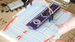 1 How to Program and Develop with ARM Microcontrollers  A Tutorial Introduction [upl. by Vescuso]