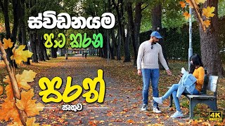 The most beautiful season in Europe  Autumn රතු කහ දුඹුරු පාටවලින් සැරසුන සුන්දර ස්විඩනය Sinhala [upl. by Schalles]