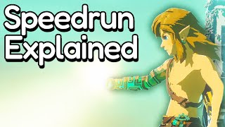 How Speedrunners Beat Tears of The Kingdom in UNDER 1 HOUR Speedrun World Record Breakdown [upl. by Darelle]