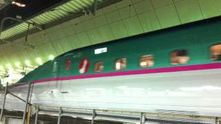 Hayate No 32Series E5 and Komachi No 32Series E3 arrive into Tokyo Station [upl. by Nattie]