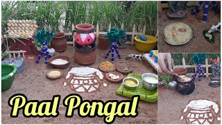 Paal Pongal  How to make pongal in tamil  Village style Pot Pongal  Gomathy Mini Cooking  Tamil [upl. by Yarg]