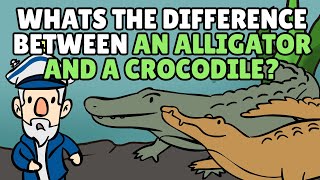 9 Alligator Fun Facts [upl. by Brana88]