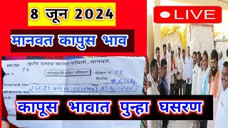 🔴 8 जून मानवत कापूस बाजार भाव वाढलेKapus Bhav Todayसेलू कापूस भाव [upl. by Mullac26]