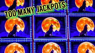 5 JACKPOTS ON WOLF RUN HIGH LIMIT [upl. by Atinuj]