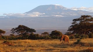 Safari in Amboseli Kenya 2018 [upl. by Millburn]