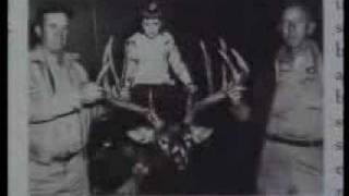 Illinois Roadkill Buck  Legendary Whitetails [upl. by Sivert]