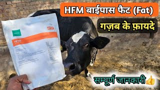 HFM बाईपास फैट Bypass Fat पशुओं में गज़ब के फ़ायदे  दूध में फैट और वज़न बढ़ाये [upl. by Mahoney902]