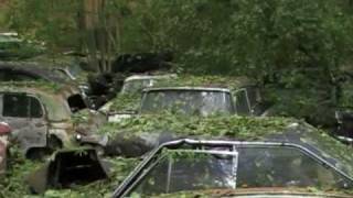 URBEX The Messerli car graveyard [upl. by Yssim]