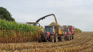 😍 1 JOURNÉE à lENSILAGE de MAÏS 2022 DANS LE PAS DE CALAIS  🌽 [upl. by Infeld]