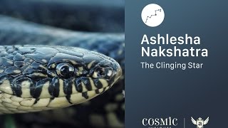 Ashlesha Nakshatra Stellar Mind Programing Technique [upl. by Calvinna]