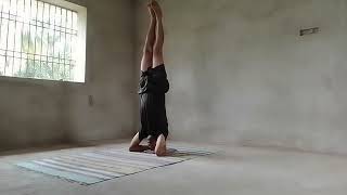 Sirsasana or Headstand  30  One Hour amp Fifteen Minutes selfchallenge [upl. by Eliza]