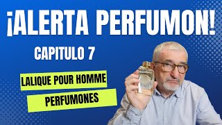 LALIQUE POUR HOMME LION ¡ALERTA PERFUMON 7 perfumes [upl. by Asined]