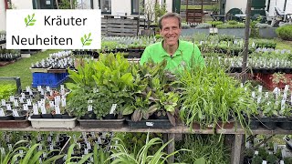 Spannende KräuterNeuheiten für Garten amp Balkon 🌿ColaStrauch Eibisch Olivenkraut amp IngwerMinze [upl. by Beghtol]