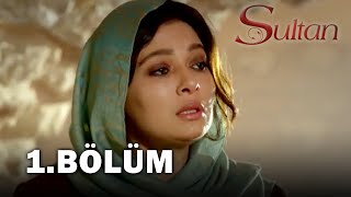 12  SULTAN lyric video 27album [upl. by Zora279]