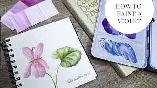 How to Paint a Watercolor Violet [upl. by Ayahs]