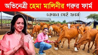 কেমন অভিনেত্রী হেমা মালিনীর গরুর ফার্ম  Largest COW Farming  Dairy Farming in india  গরুর খামার [upl. by Uile]