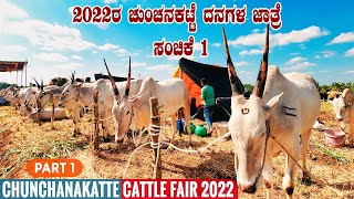 2022 Chunchanakatte Cattle Fair Most Famous Cattle Fair in South India amp Largest Fair in Karnataka [upl. by Chouest]