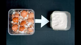 HOW TO MAKE FERTILIZER FROM EGGSHELLS  ORGANIC CALCIUM FOR PLANTS  DIY FERTILIZER [upl. by Chadabe433]