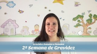 2ª Semana de gravidez [upl. by Otit]