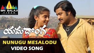 Yamadonga Video Songs  Nunugu Misalodua Video Song  JrNTR Priyamani  Sri Balaji Video [upl. by Marice277]