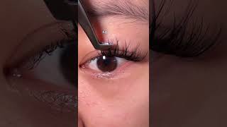 Wispy DIY Lash Mapping for Beginners 12 14 16 14 diylashextensions lashes lashtech makeup [upl. by Allmon706]