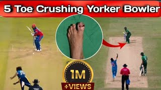 Top Five Bowler Who Ball Toe Crushing Yorkers And Their Insane Deliveries [upl. by Llesig]