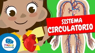 APRENDE SOBRE EL CUERPO HUMANO  EL SISTEMA CIRCULATORIO 🫀🏋🏼‍♂️🧠  Happy Learning circulatorio [upl. by Egbert]